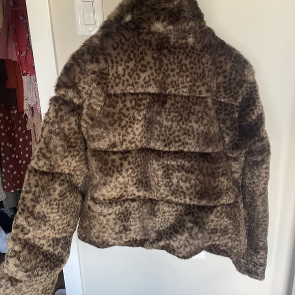 Cheetah puffer - Picture 2 of 2